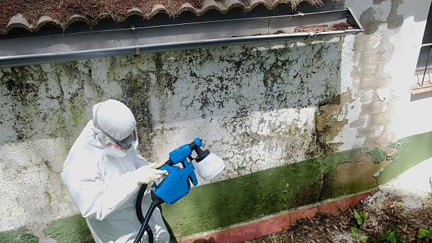 Top rated local Mold Remediation specialists in Harleysville, PA